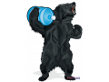 bear-springs-small-0