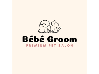 Bébé Groom