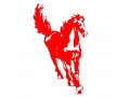 stallion-moving-storage-small-0