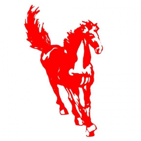 stallion-moving-storage-big-0