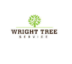 wright-tree-service-big-0