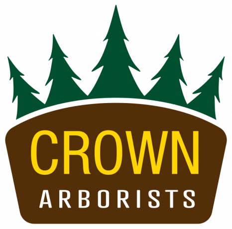 crown-arborists-big-0