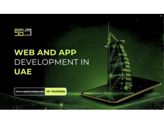Website Design Company Dubai Trusted by 180+ Businesses | SaptTech Labs