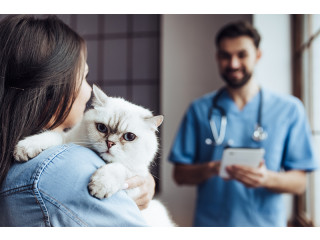 Boardwalk Animal Hospital - In The Beaches